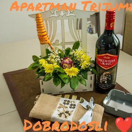 公寓 Trijumf 巴伊纳巴什塔